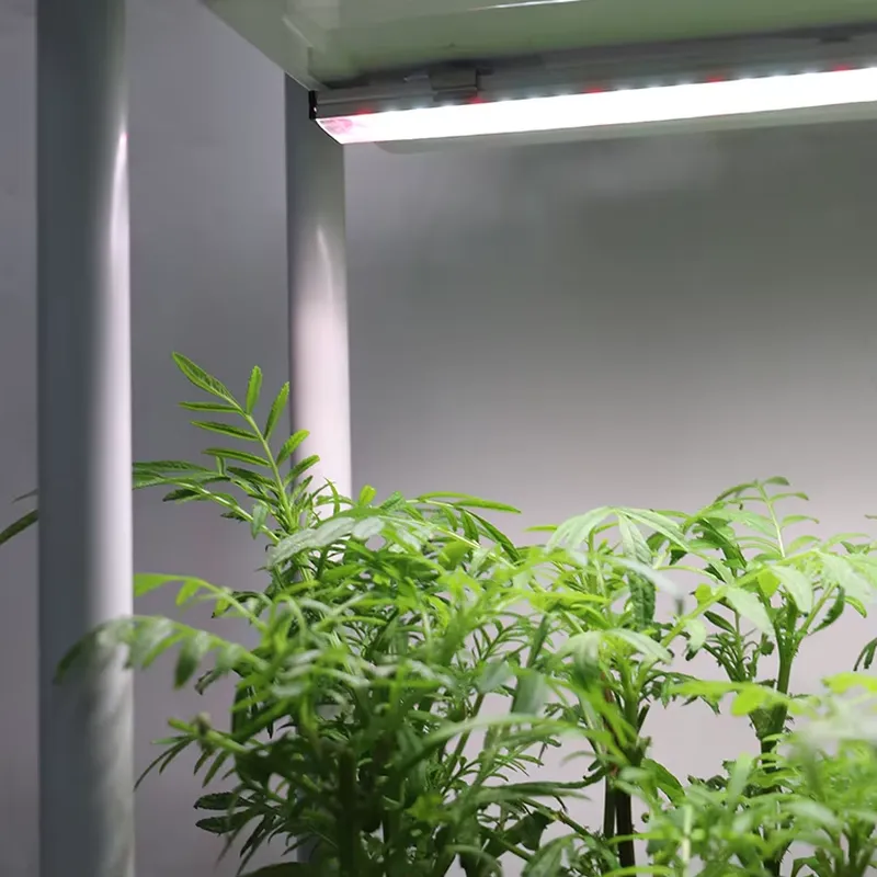 Movable Vertical Grow 3 Level  - огляд і ціна Self-Watering Planter