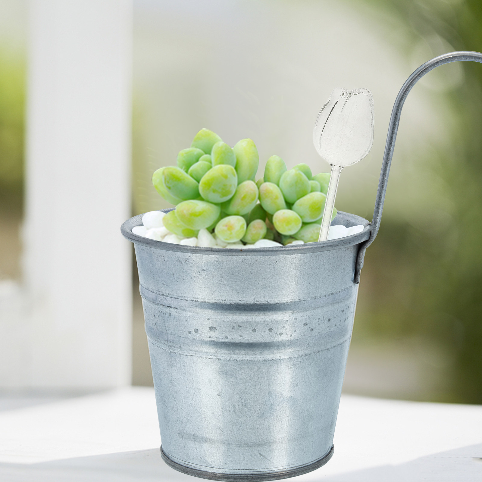 2Pcs Premium High Borosilicate - огляд і ціна Self-Watering Planter
