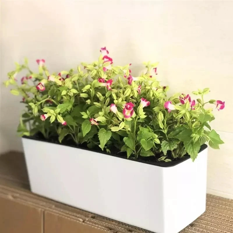 Rectangula Lazy Flower Pot Pot - огляд і ціна Automatic Plant Waterer