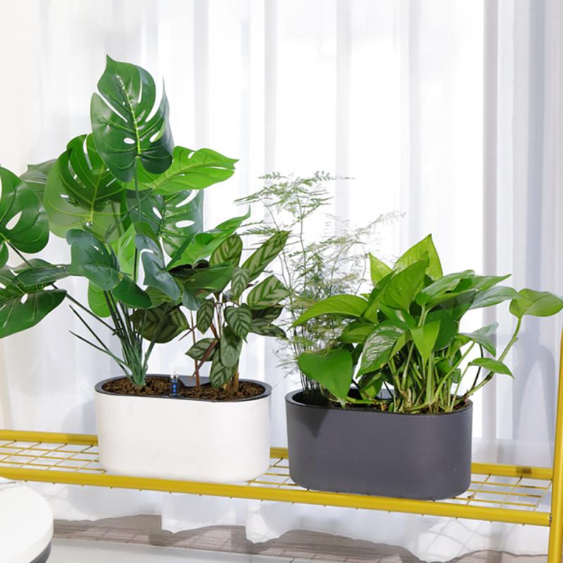 Indoor Plant With Indicator Wo - огляд і ціна Automatic Plant Waterer